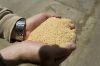 Sell Soybean Meal (Wit...
