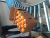 FRESH ORANGES