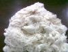 Cotton Yarn Waste What...