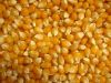 Wheat, corn, barley