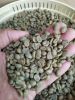 Raw Coffee Beans