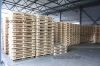 Euro pallet EPAL New