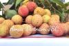 Fresh Lychee GlobalGAP from Vietnam, Mob/Whatsapp: +84356510958