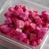 Frozen IQF Dragon Fruit From Vietnam - High Quality, Stable Supply, Competitive Price (HuuNghi Fruit)