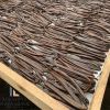 GOURMET VANILLA BEANS 