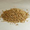 Quality Barley for Animal Feed