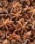 Selling Best Star Anise