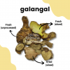 Galangal