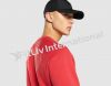 Plain Unisex Crewneck Sweatshirt Pullover Wholesale Custom Logo Men's Sweatsuits Jogger Set