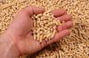 Animal Feed Nutritional Additive Wheat Gluten Pellets