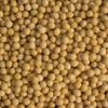 Non GMO dried cheap soybeans for sale affordable price