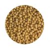 Non GMO dried cheap soybeans for sale affordable price