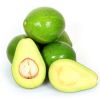 TOP GRADE FRESH AVOCADO/Fresh avocado