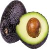 TOP GRADE FRESH AVOCADO/Fresh avocado