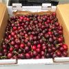 Wholesale Top Quality Fresh Cherries In Cheap Price