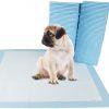 Cheap Pet Puppy Pad with High Quality for Pet Urine Training Disposable Puppy Underpad