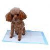 Cheap Pet Puppy Pad with High Quality for Pet Urine Training Disposable Puppy Underpad