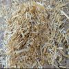Top Grade Wheat Straw Hay Bales For Animal Feeding Forage / Cattle Feed Wheat Straw Forage for KSA