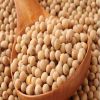 Soybeans raw food material high protein and nutrition value best quality from manufacturer bulk sale soybeans