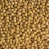 Soybeans raw food material high protein and nutrition value best quality from manufacturer bulk sale soybeans