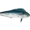 Hot Sale Frozen Fish Fillets Mahi Mahi With High Quality