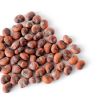 Wholesale Price jojoba seeds jojoba powder jojoba oil organic