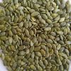 Factory Supply Raw Processing Top Grade Non GMO Hulled Pumpkin Kernels Seeds