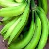 PLANTAIN, BANANA, PLAN...
