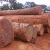 logs wood timber