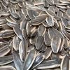 Superior Quality Raw Sun Flower Seeds For Sale