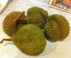 durian