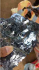 zinc ore 