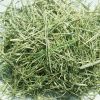 Horse Feed 