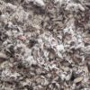 Cotton Seeds 