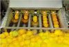 Quality and Sell Factory Price Mango/Pineapple/Orange/Citrus Juice /Fruit Juice Production Line