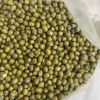 Quality and Sell New Crop Green Mung Beans Cheap Fresh Mung Beans For Wholesale