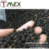 Black pepper Vietnam High quality Cheap price Newest crop Best sale