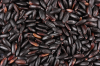 Premium quality BLACK RICE with the most competitive rice from Vietnamese manufacturer