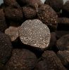 Tuber Aestivum, Black ...