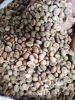 Robusta Coffee Green Beans