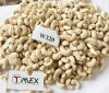 best seller products cashew nuts new crop 2022 high quality wholesale