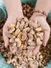 Salted Roasted Cashews 