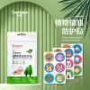 Anti Mosquito Stickers Mosquito Repellent Patch Protection Patches Paster