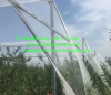 High quality agricultural polyethylene material anti hail net