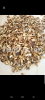Egusi melon seeds, spi...