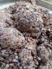 Egusi melon seeds, spi...