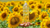 we sell  sunflower oil...