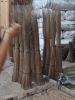 Coconut Broom Stick and Palm Broom Stick Cleaning House Cleaning Garden