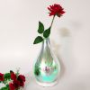 Glass Vase Night Light Multicolor Led Light With Remote control AND USB Rechargeable Battery For Bedroom Reading Living Room Holiday