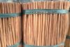 Long Stick Cinnamon Ca...
